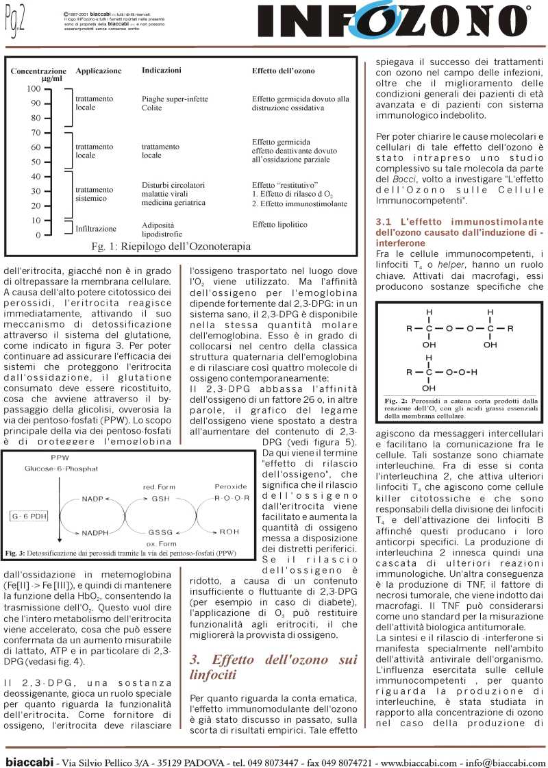 Infozono 16 pagina 2