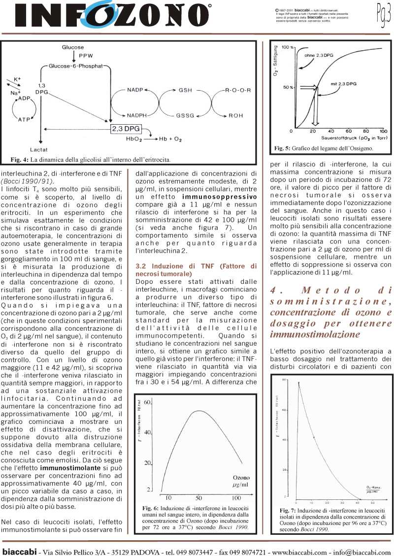 Infozono 16 pagina 3