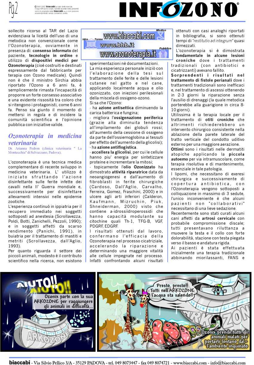 Infozono 19 pagina 2